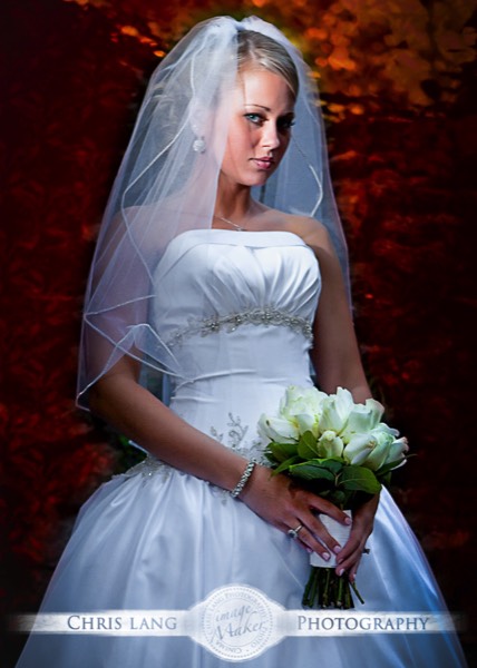 Picture of bride on Riverfront of Cape Fear River