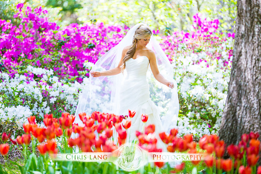 Picture of Bride and tulips at Airle Garden during Azalea Festival