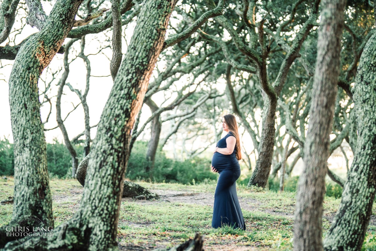 Maternity image of mom in the oak grove trees at Ft Fisher -  maternity - wilmington nc maternity photographers - chris lang photography -  pregnancy photos -  maternity photo ideas