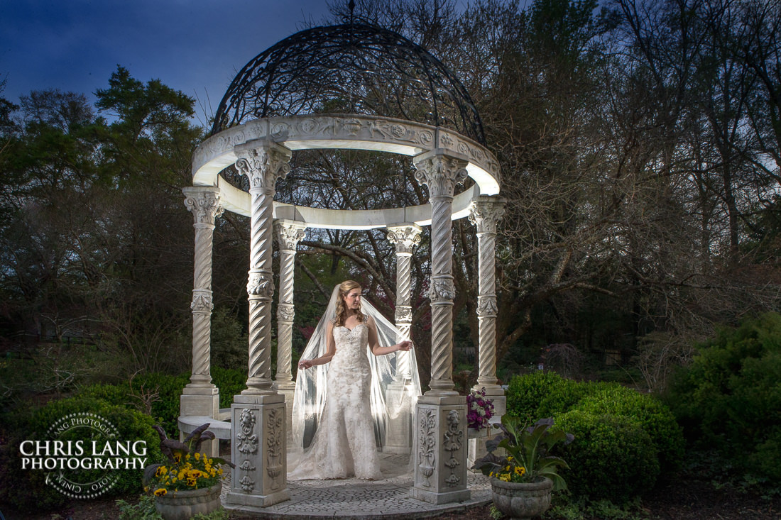 Signature Bridal Portraits - Bridal Photography Weddign Dress - Bridal Portrait Photographers  - Wilmington NC