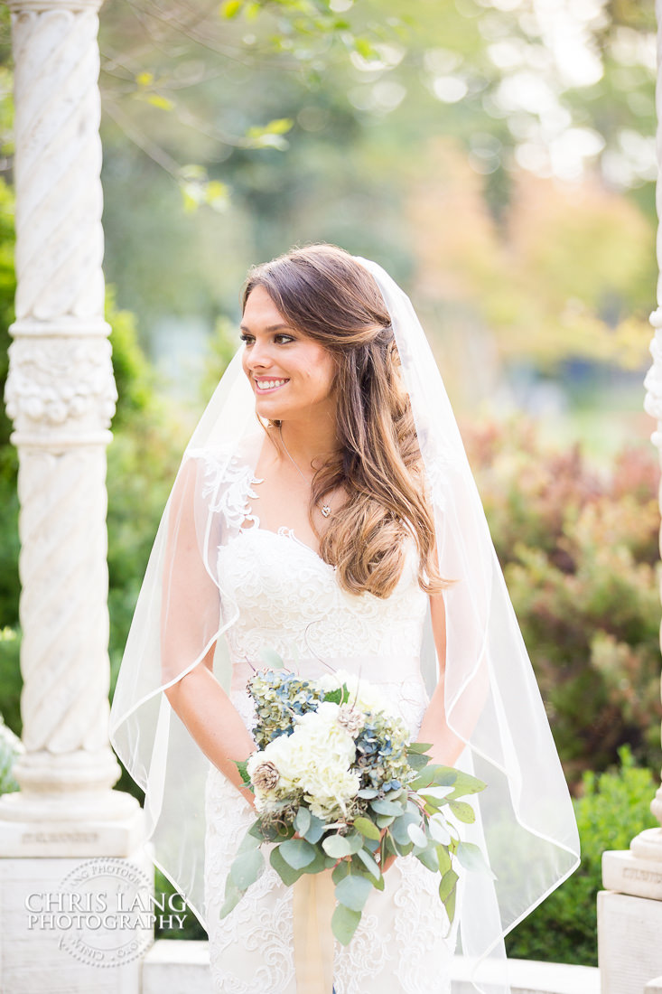 Classic Bridal Portraits - Bridal Photography Weddign Dress - Bridal Portrait Photographers - bridal ideas